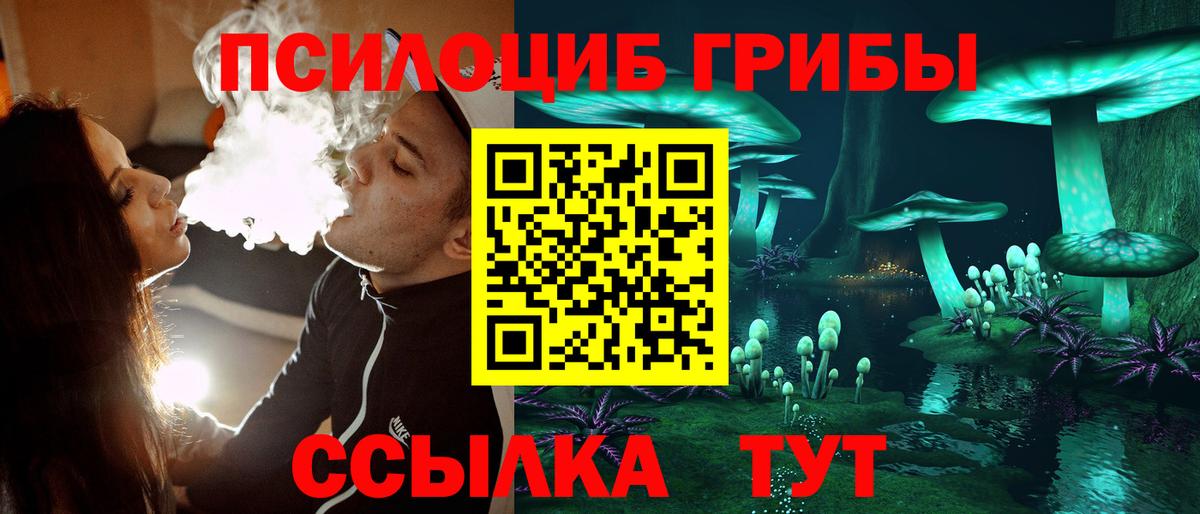 Псилоцибиновые грибы ЛСД  Вход с VPN  Хасавюрт  Галлюциногенные грибы Cubensis 